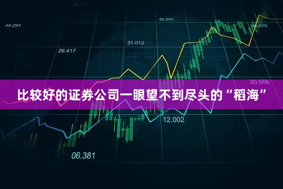 比较好的证券公司一眼望不到尽头的“稻海”