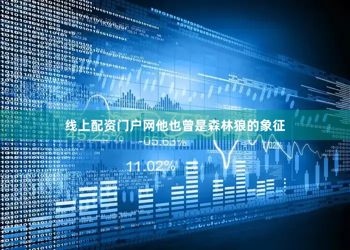 线上配资门户网他也曾是森林狼的象征