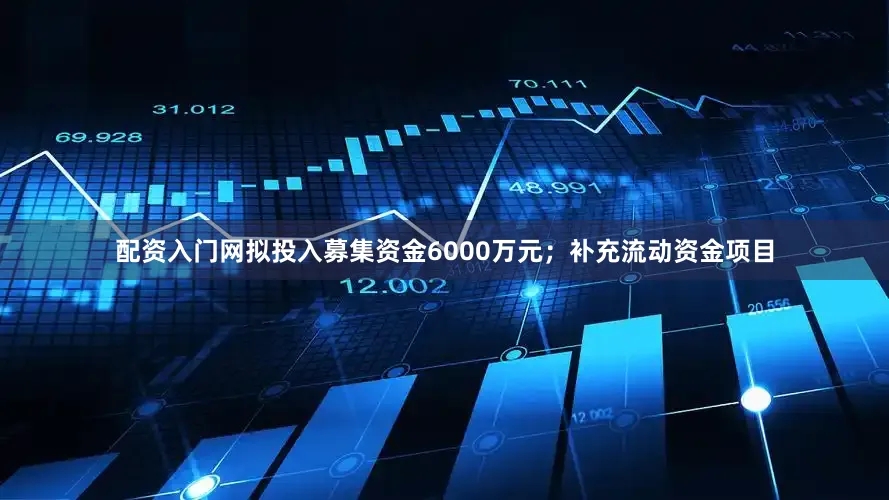 配资入门网拟投入募集资金6000万元；补充流动资金项目